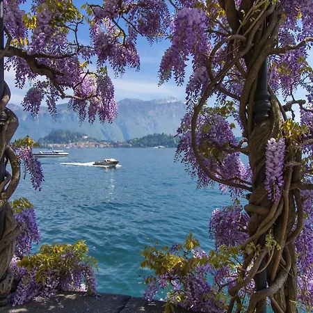 Evelyn Terrazzo * Menaggio